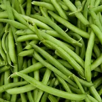Fagiolini verdi appena raccolti