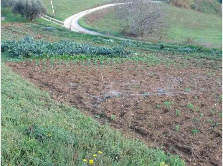 Terreno preparato per la semina