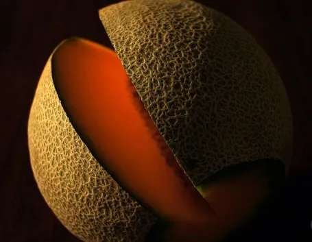 melone retato