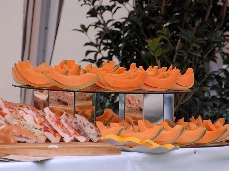 fette di melone