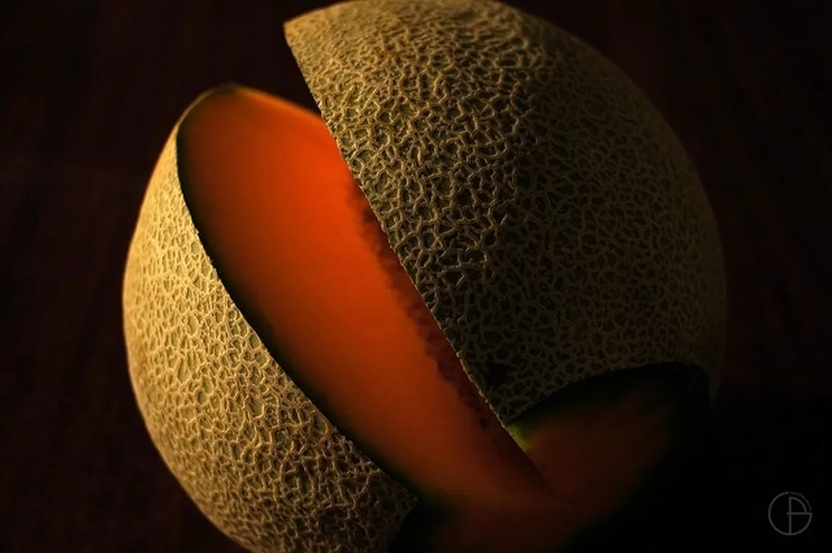 melone retato