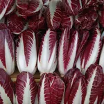 tipico radicchio di Treviso a Torino