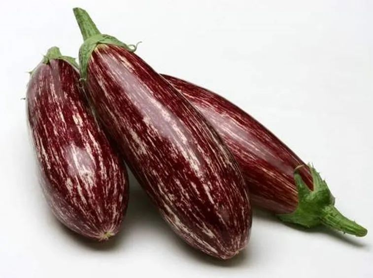 Melanzane lunghe