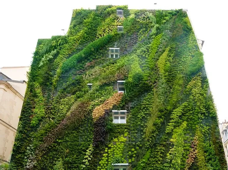 Giardino verticale facciata casa