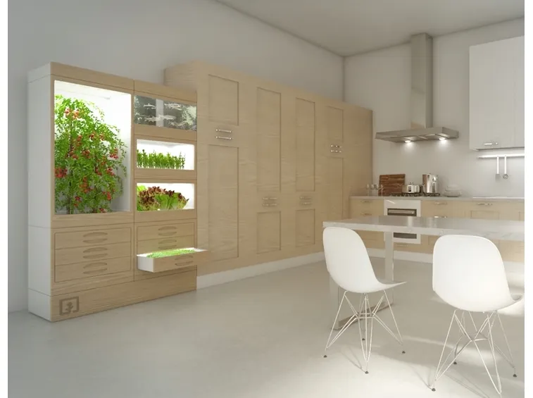 orto in cucina