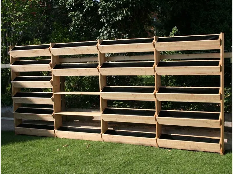 Orto legno