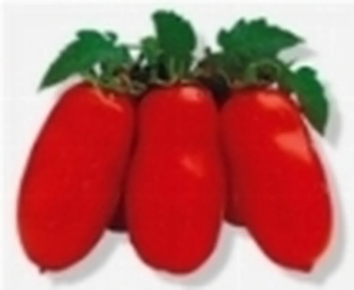 san marzano
