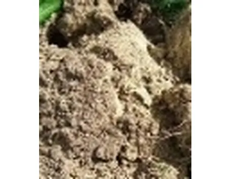 foto terreno orto