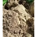 foto terreno orto