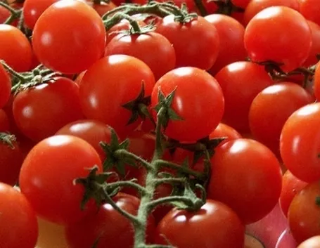 pomodoro pachino