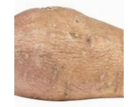 patata americana