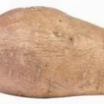 patata americana
