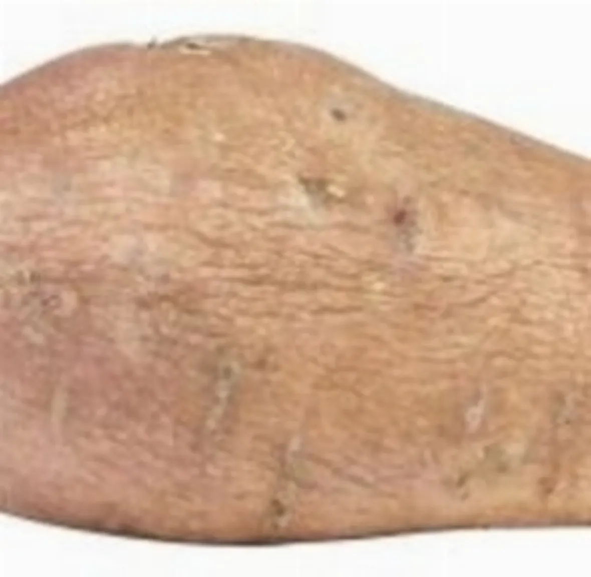 patata americana