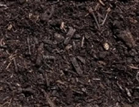 foto terreno