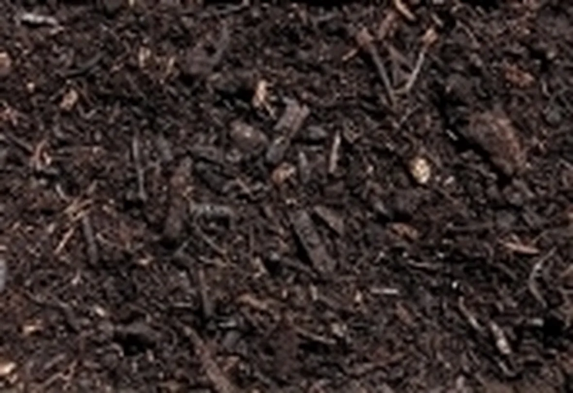 foto terreno