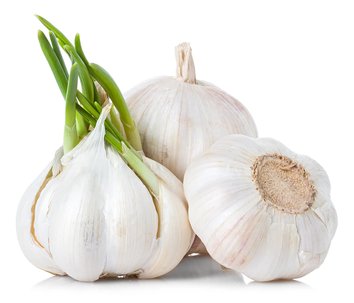 Bulbi aglio
