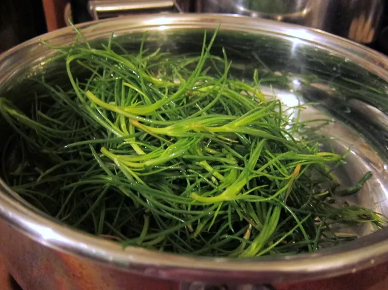 Cottura degli agretti