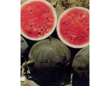anguria