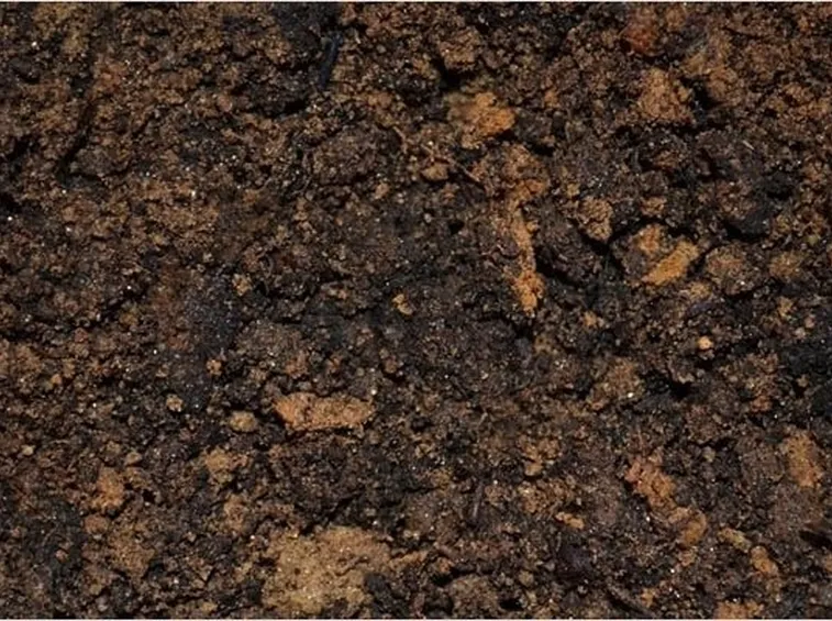 Terreno argilla espansa