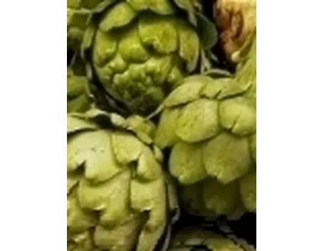 carciofi