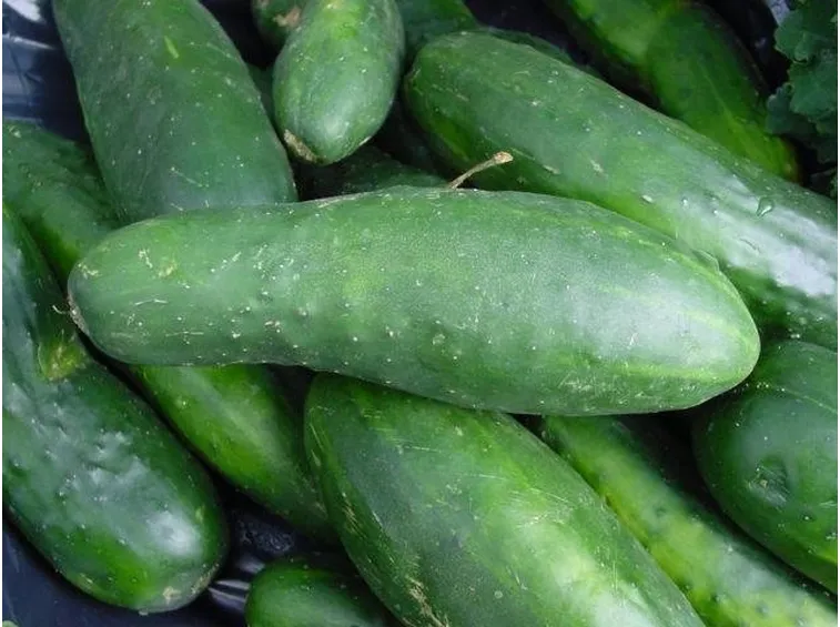 cetrioli