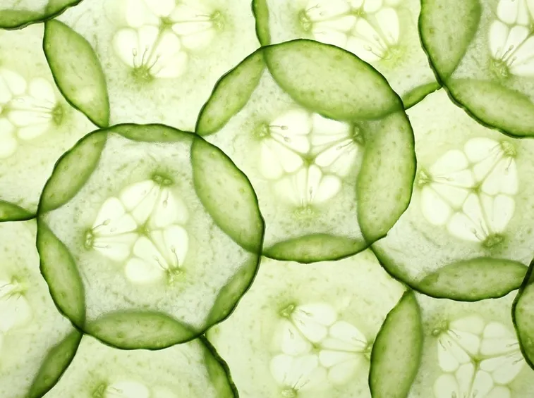 cetriolo