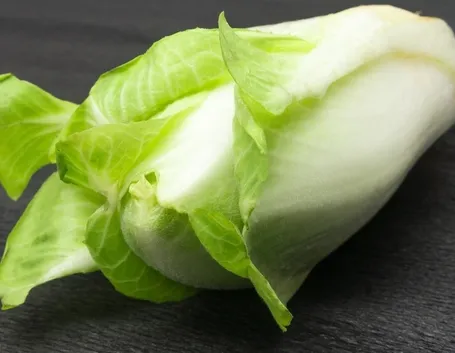 Cicoria pan di zucchero