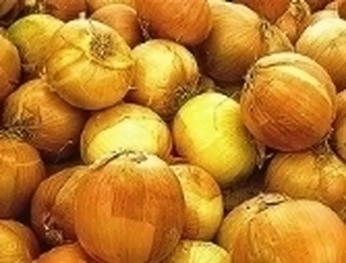 cipolle