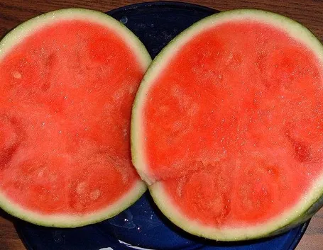 Varietà di cocomeri senza semi