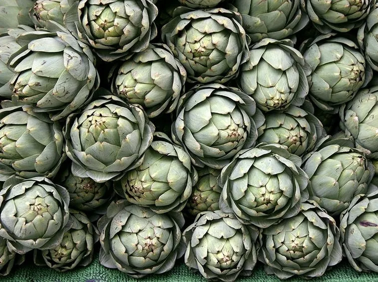 mazzo di carciofi verdi
