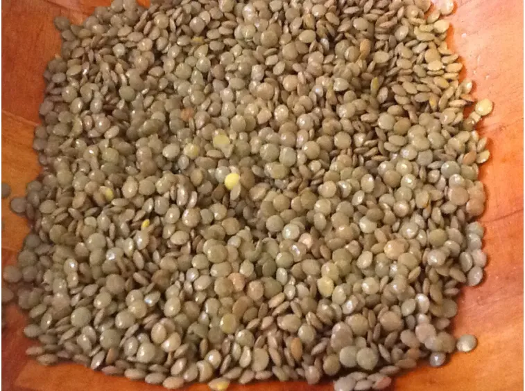 Lenticchie pronte per il consumo