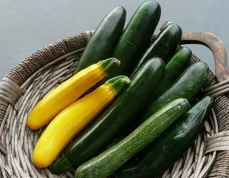 cesto di zucchine