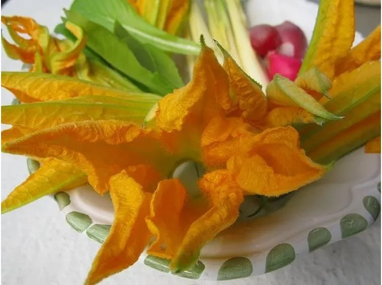 fiori di zucchine