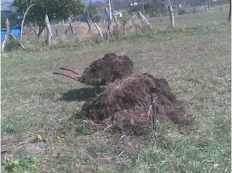 Carriola con letame