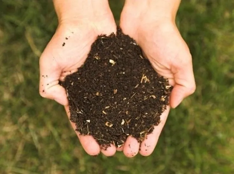 Fertilizzazione del terreno
