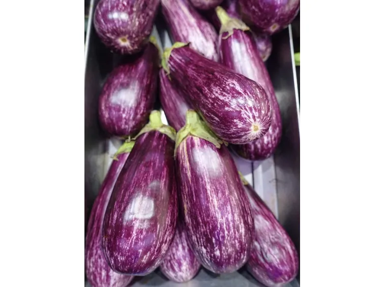 melanzane rosa