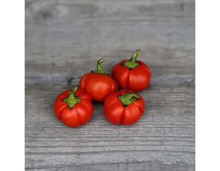 melanzana rossa