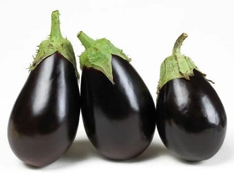 melanzana