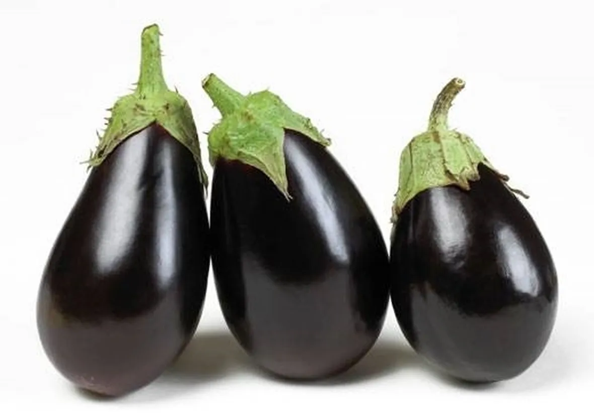 melanzana