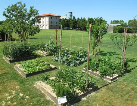 Orti in giaridno