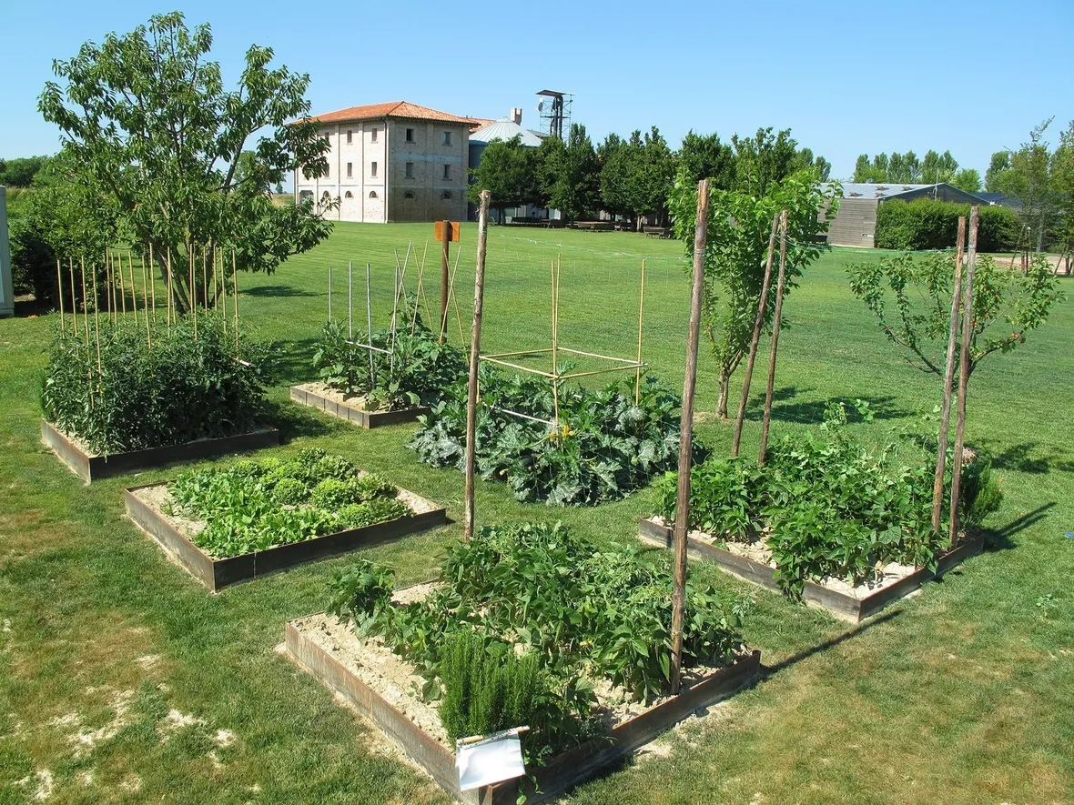 Orti in giaridno