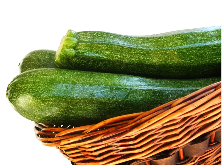 Zucchine disposte in cesto di vimini dopo la raccolta