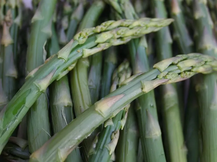 Asparagi