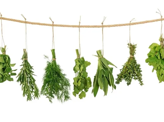 erbe aromatiche appese