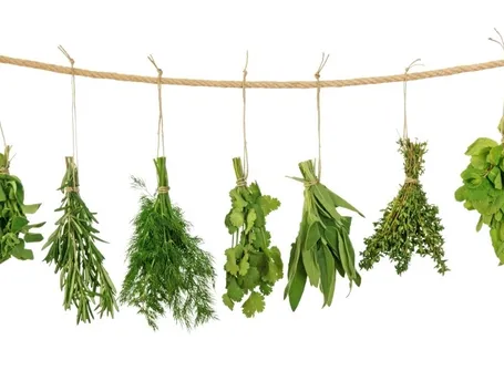 erbe aromatiche appese