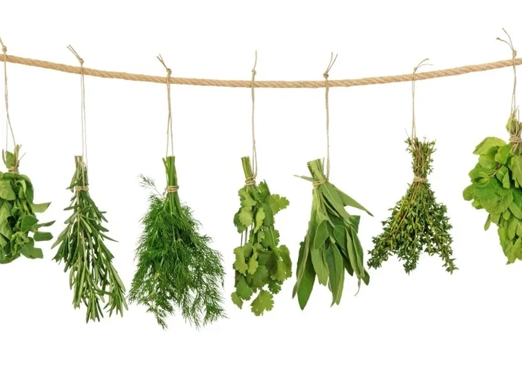 erbe aromatiche appese