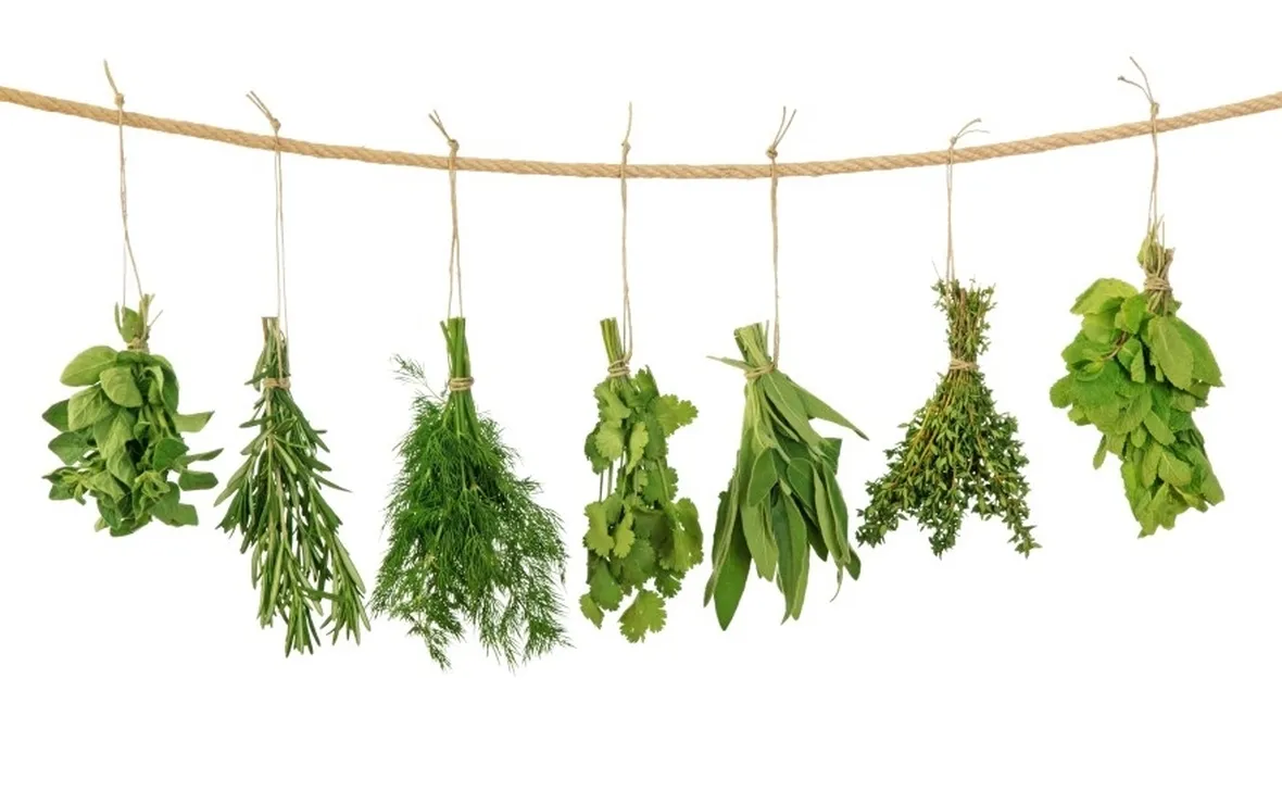 erbe aromatiche appese