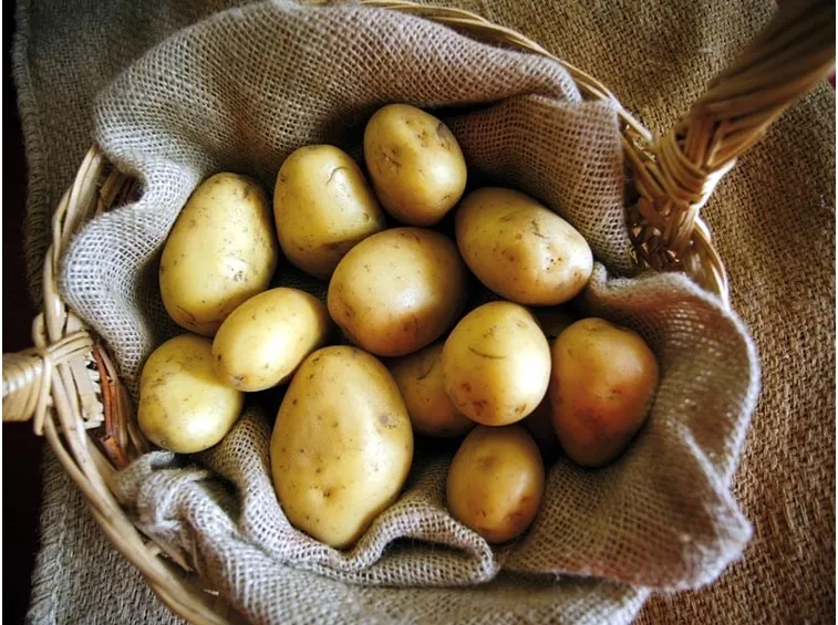Benefici delle patate