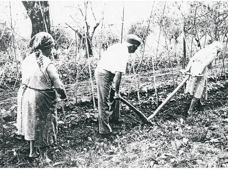 semina tanti anni fa