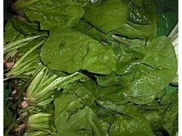 Spinaci